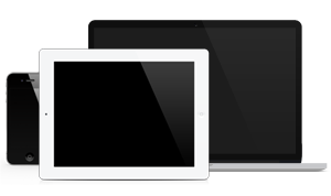 Fully Responsive Layout